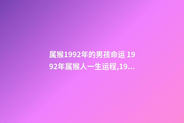 属猴1992年的男孩命运 1992年属猴人一生运程,1992年属猴男一生命运-第1张-观点-玄机派